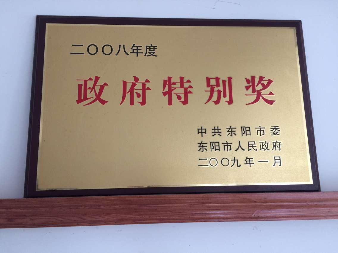 政府特别奖